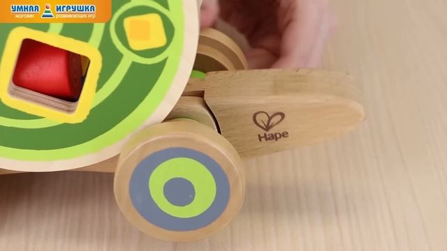 Деревянная каталка-сортер «Улитка» Hape