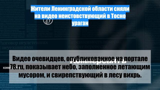 Жители Ленинградской области сняли на видео неистовствующий в Тосно ураган