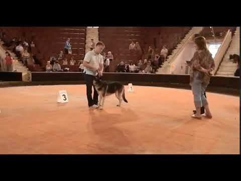 2012 год г. Рязань эксперт Швец И.Л ринг вео