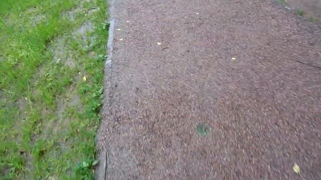Видео тест на улице летом Nikon CoolPix S5200