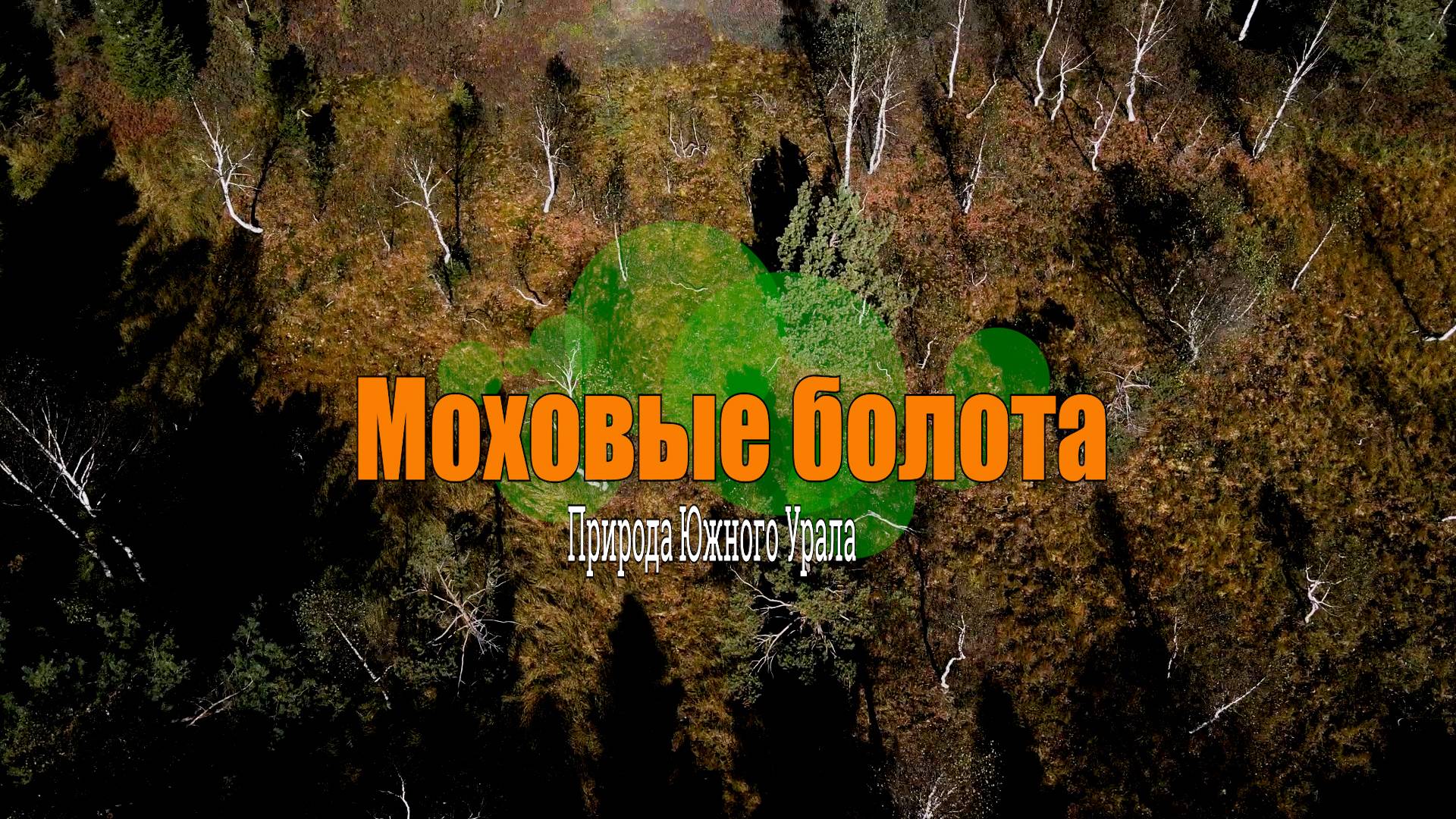 Моховые болота