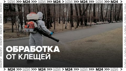 Обработка от клещей началась в столичных парках — Москва24