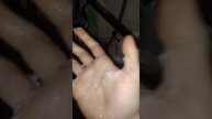 Как помыть руки