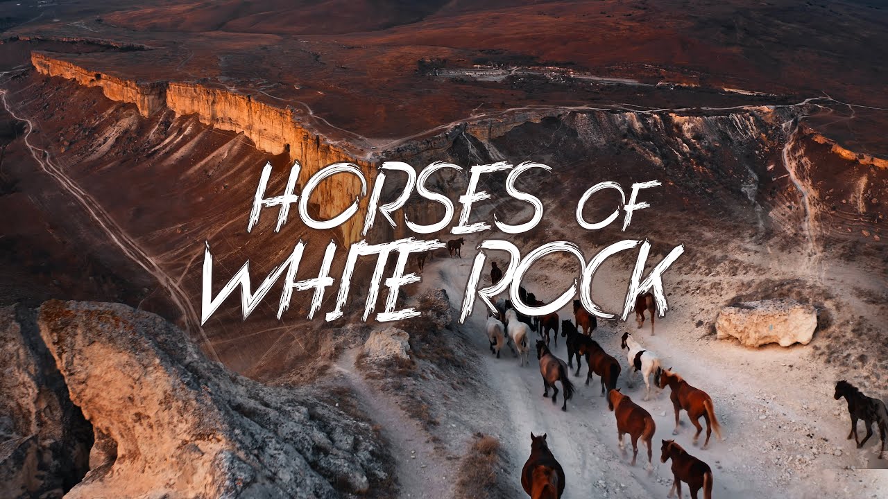 Лошади у Белой Скалы, Крым, съемка с дрона 4K / Horses of White Rock, Crimea. Drone Cinematic