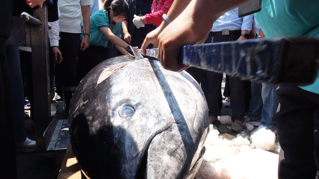 Самый острый нож режет 300-килограммового гигантского голубого тунца с удивительными навыками.