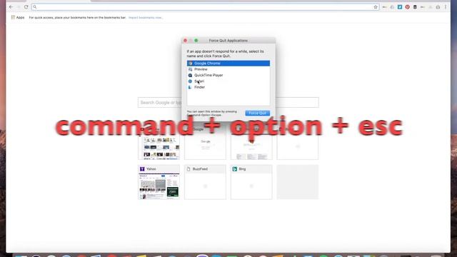 How to FORCE QUIT on MAC? (ctrl+alt+delete)