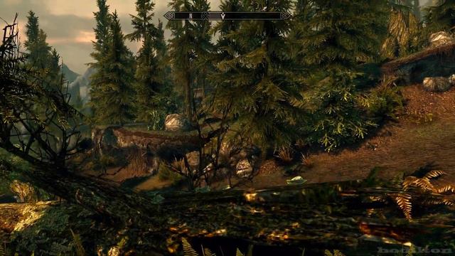 Elder Scrolls 5 Skyrim Graphics Mod