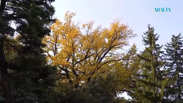 Имена. Лаврентий Сон