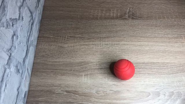 Мяч для собаки