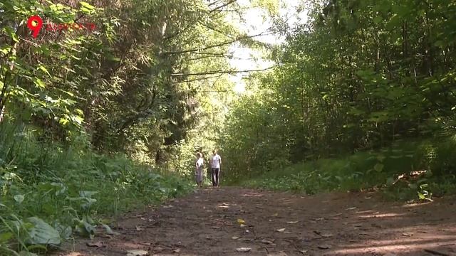 Поиск пропавших в лесу людей