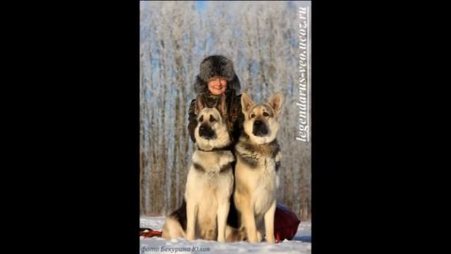 С ДНЕМ РОЖДЕНИЯ БАБУШКА  ЖЕНЕЧКА СЧАСТЬЯ ЗДОРОВЬЯ ЕЩЕ  Раз  С ДНЕМ РОЖДЕНИЯ ТЕБЯ!!!