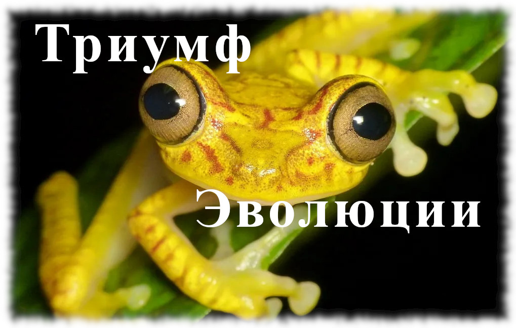 Триумф эволюции. Аудио рассказ