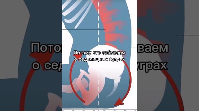 Эти знания улучшат качество вашей жизни