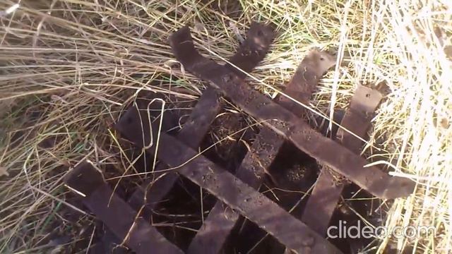 Даньша.Наступают холода.