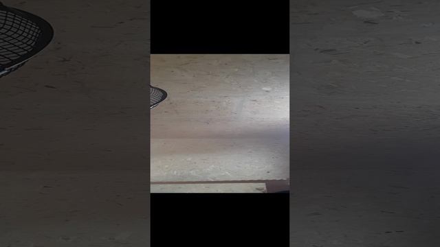 1000006009.mp4