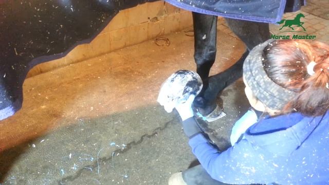 Наращивание копыта клеем и заполнение силиконом Horse Master