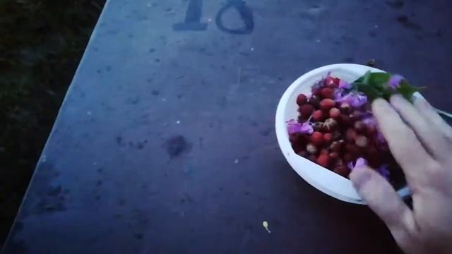 Полезный и ароматный чай легко и быстро.
