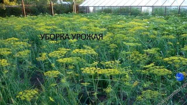 20.10.2020. Технология. Рыкова Н. Н.