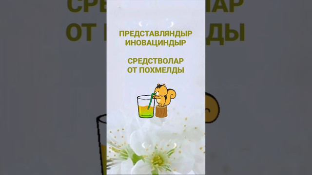 После праздников - ПОХМЕЛДЫРДА, РАСКАЛЫМДА, ШИПУЧИЙ ХАШ... 😆😆😆😆😆 13.09.2024г.