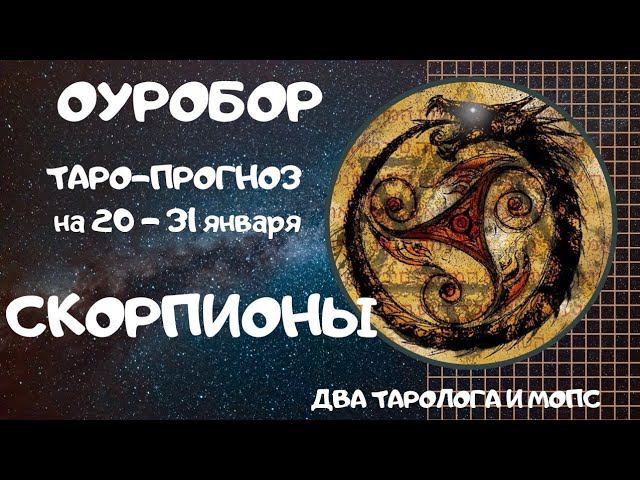 ОУРОБОР ТАРО-ПРОГНОЗ для знаков СКОРПИОНЫ на 20 - 31 января