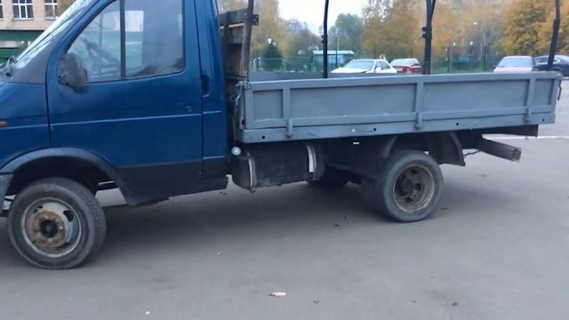 Газель которая не смогла ... Газель