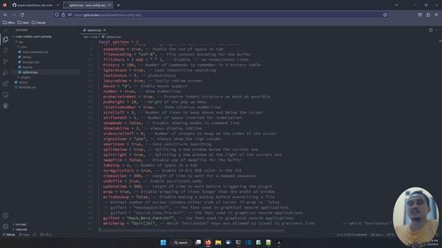 MEMBUAT IDE NEOVIM SENDIRI DARI NOL #05 Default Config, Plugins Manager dan Colors Schemes