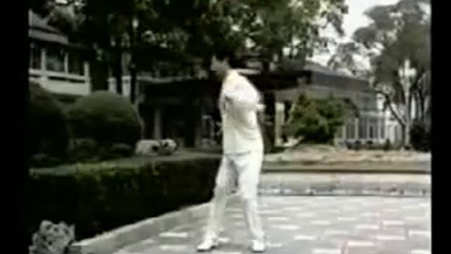 林厚省太极气功十八式   Taichi Qigong 18 Forms by Master Lin Housheng