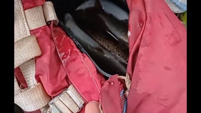 рыбалка на хребте малый Хинган 23 год