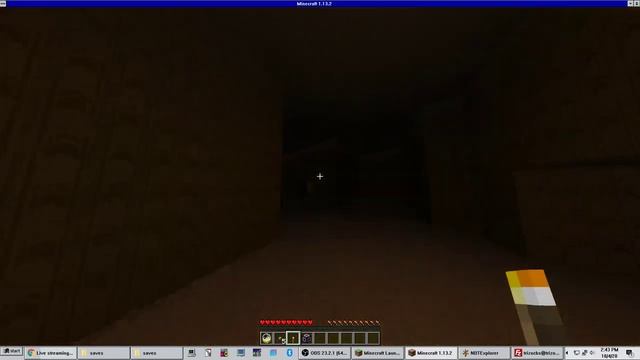 MINECRAFT BACKROOMS MAP PLAYTHROUGH - Trizocbs