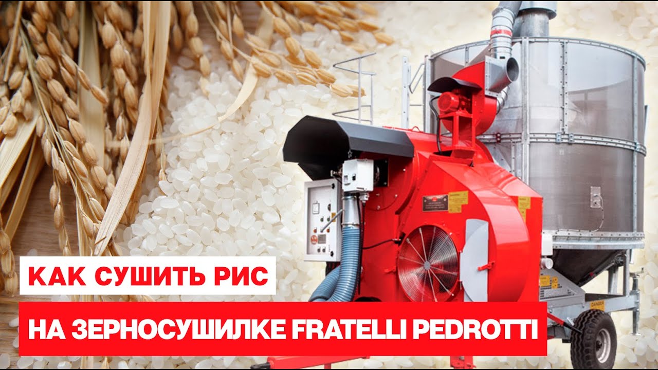 Как сушить рис на мобильной зерносушилке Fratelli Pedrotti