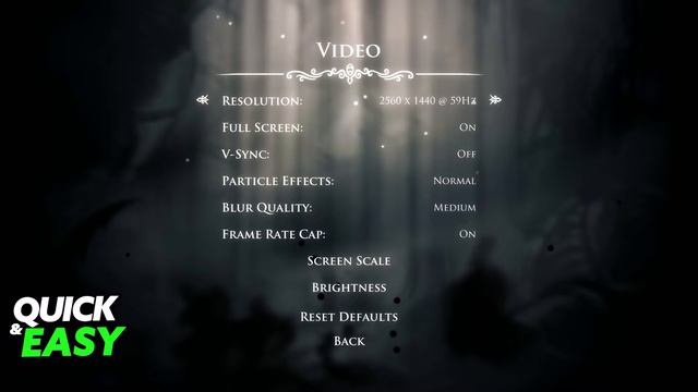 How To Change Resolution in Hollow Knight EASY!