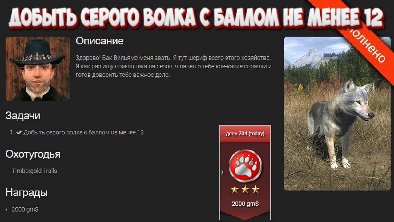 Добыть серого волка с баллом не менее 12. Карта: Timbergold Trails