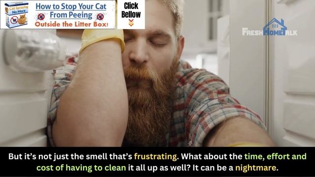 No More Stinky Cat Urine | The Permanent Solution to Smelly Cat Urine | FreshHomeTalk