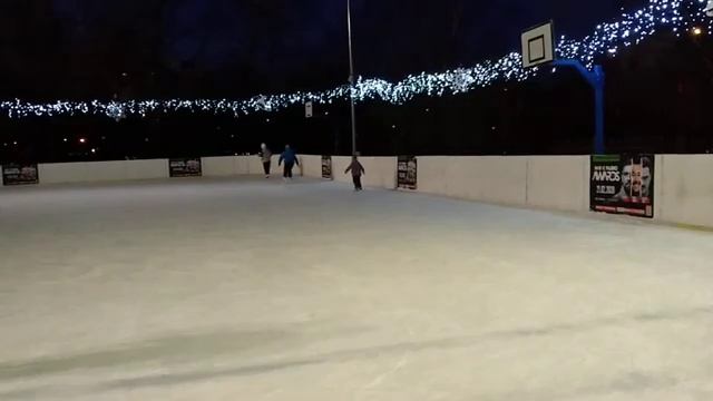 КАТОК в Воронцовском парке 05 02 2020г