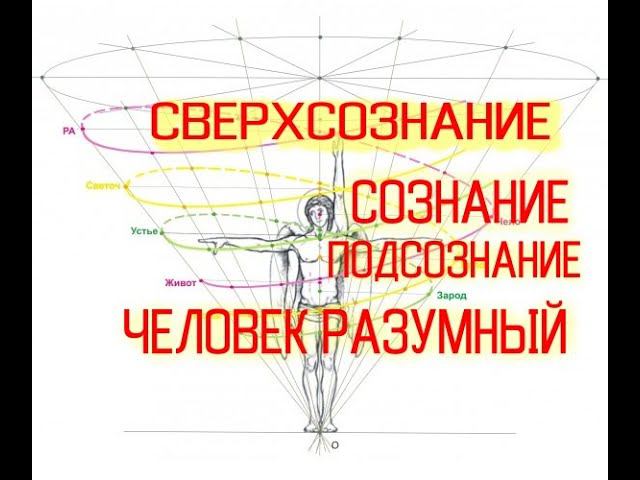 Человек Разумный: Сознание-ПодСознание-СверхСознание / Виктор Максименков