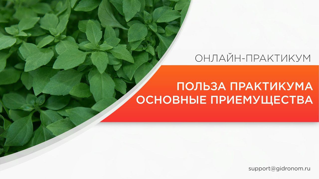Польза практикума. Основные преимущества.