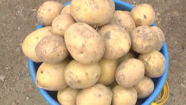 На вкус и цвет