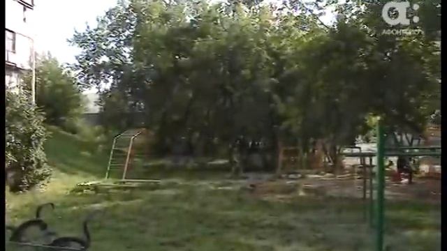 Включение. Красивый двор