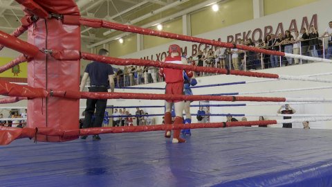 Бойцы из семи регионов приехали в Рязань на Кубок по тайскому боксу
