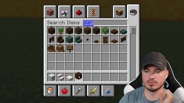 I Secretly Cheated using PRO Builders in a Minecraft Building Competition