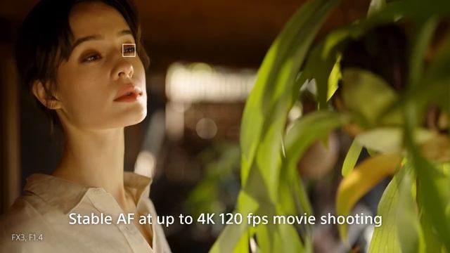 Introducing FE 50mm F1.4 GM | Sony | Lens