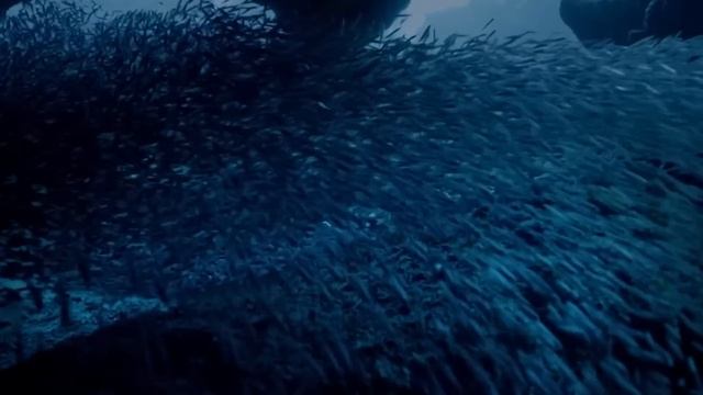 15 Моментов, Которые Доказывают, что Природа Невероятна