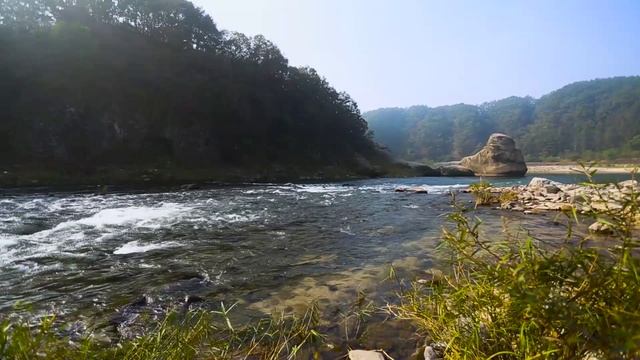 Summer, river..mp4