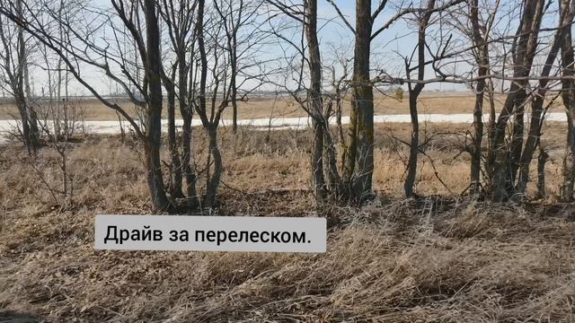 Парная тренировка драйв и линии.mp4