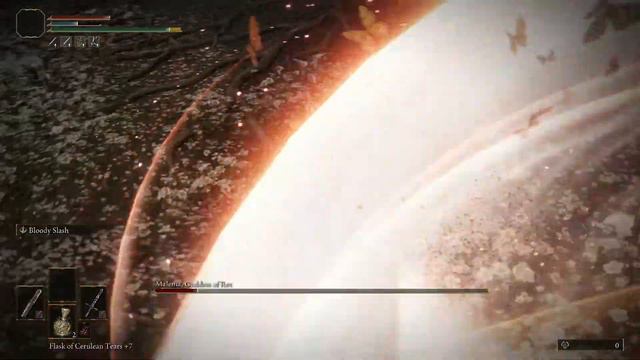 New Way To Dodge Malenia's Waterfowl Dance (TRY THIS NOW)