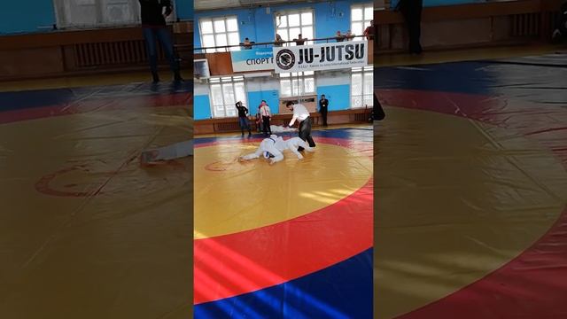 Чемпионат г. Владивосток по Джиу-Джитсу.