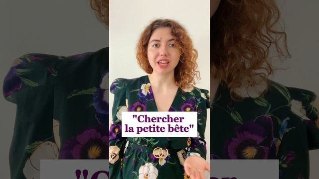 Французское выражение "chercher la petite bête"