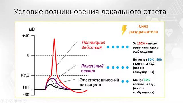 Тема 1. Возбудимые ткани. Вопрос 5.