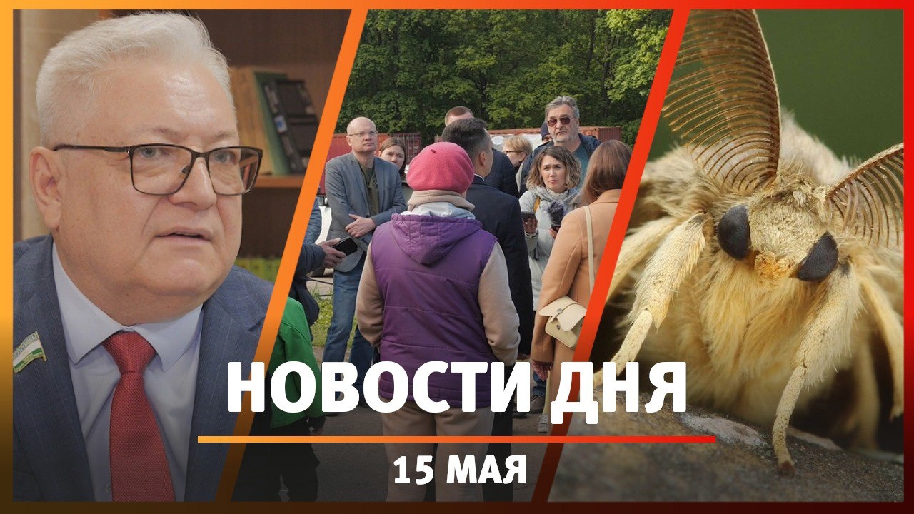 Новости Уфы и Башкирии 15.05.24: новый парк Лесоводов, депутаты в электричке и атака шелкопряда