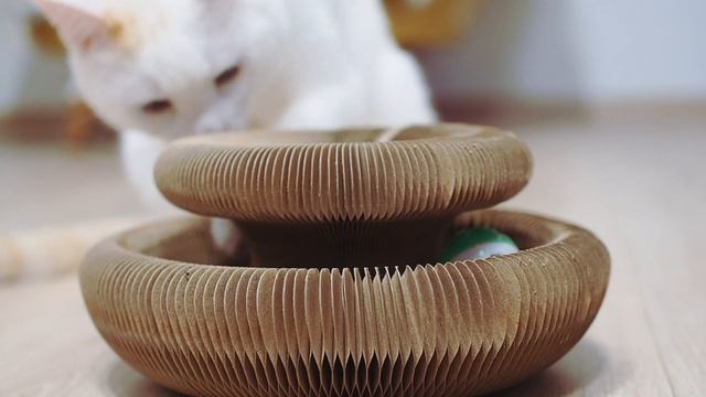 Интерактивная игрушка - когтеточка для кошек из картона